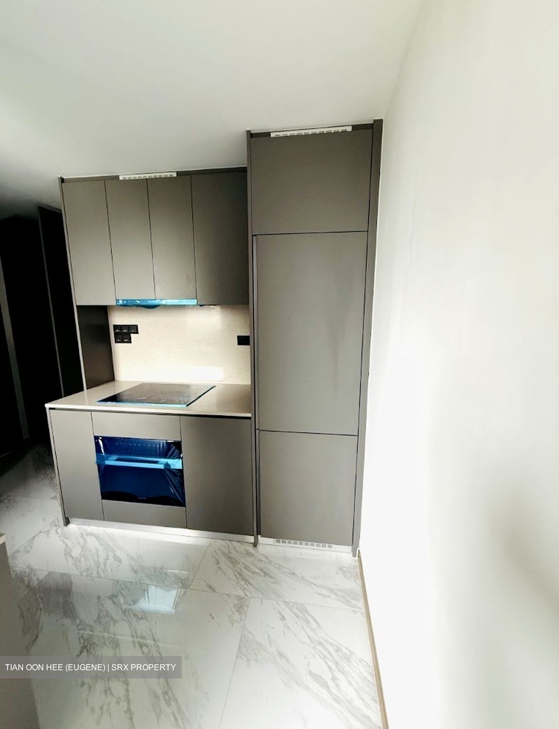 The Landmark (D3), Condominium #514882981